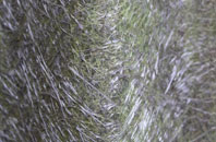 Hartshead fibreglass roof work